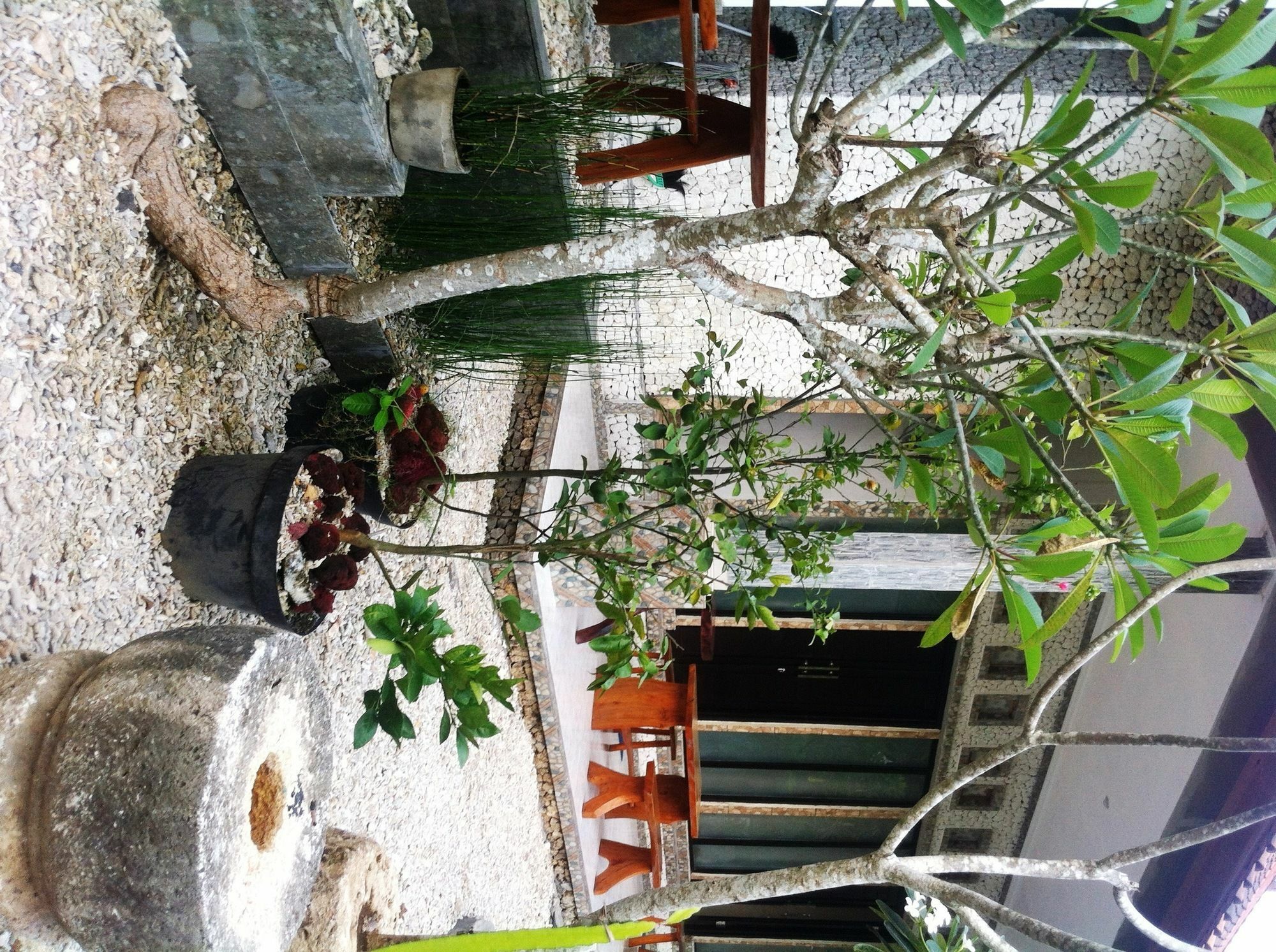 Villa Green House Ped Exterior foto